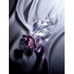 Картинка номер 3 La Nuit Tresor Diamant Blanc от Lancome